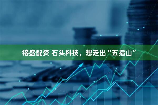 镕盛配资 石头科技，想走出“五指山”