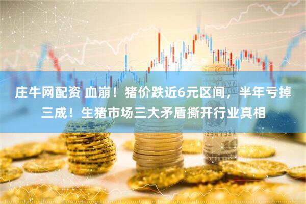 庄牛网配资 血崩！猪价跌近6元区间，半年亏掉三成！生猪市场三大矛盾撕开行业真相