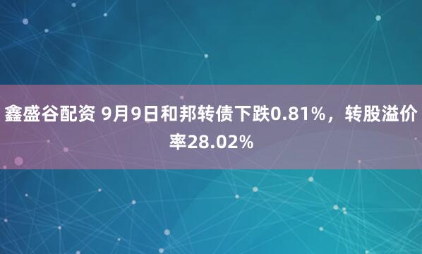 鑫盛谷配资 9月9日和邦转债下跌0.81%,转股溢价率28.02%