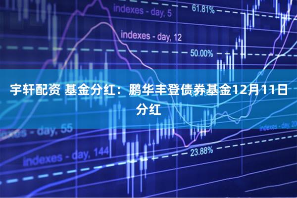 宇轩配资 基金分红：鹏华丰登债券基金12月11日分红